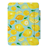 swap -  the VistaCase Personalized iPad Slim Fit Case with Fruit designs this case offers both style and functionality. 